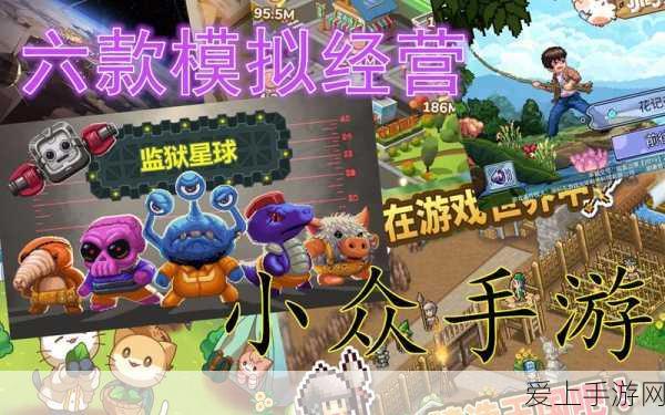 炉石传说竞技场，青玉德快攻卡组夺冠秘籍深度剖析