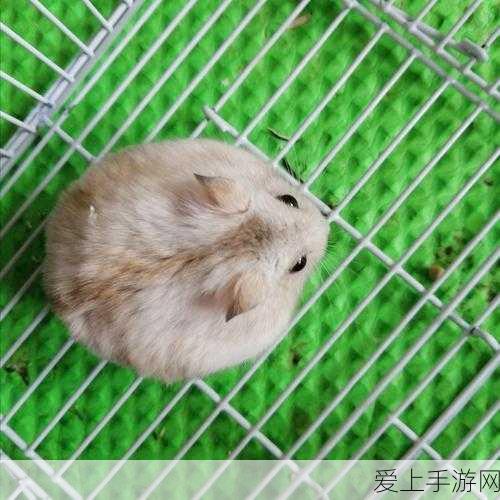 AI轮播助手，手游运营新利器，效率能否一飞冲天？