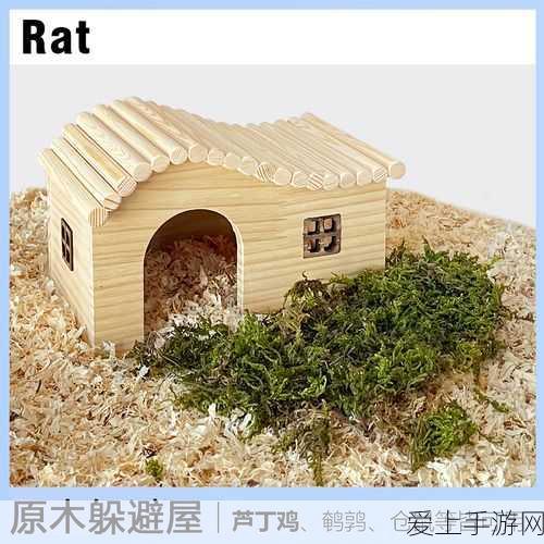 王者荣耀KPL赛场孙膑辅助出装与新版5级铭文全攻略