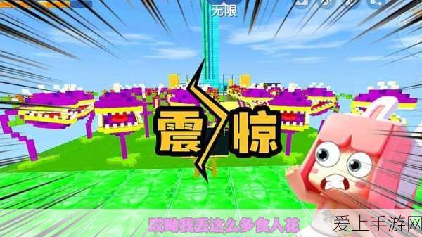 FGO华为渠道服安卓APK下载指南，独家福利与游戏优化揭秘