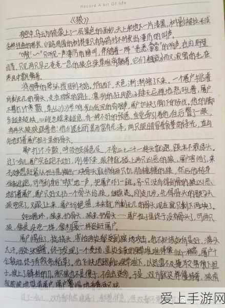 魔兽世界深度探索，恶魔法术全解析与实战策略