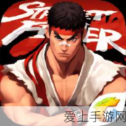DNF帕拉丁高效辅助攻略，解锁团队战斗新境界