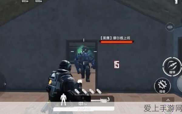 画灵搜集秘籍，时空中的绘旅人解锁艺术之旅全攻略