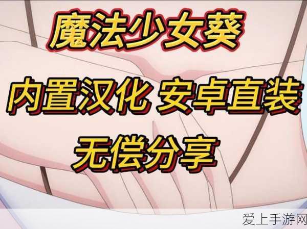 崩坏星穹铁道，藏品复刻攻略，揭秘开拓者棒球棍任务全解析