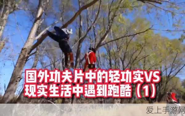 王者荣耀星之破晓，格斗新纪元，王者英雄激战正酣
