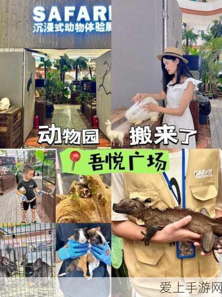 暗区突围新攻略，信誉分快速修复秘籍，助你摆脱积分危机
