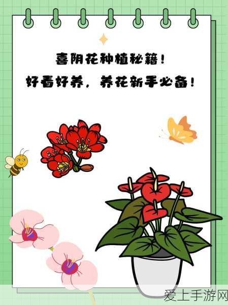 Apple Watch十周年盛典，创新功能曝光，精彩活动抢先看