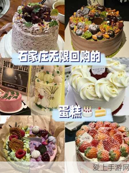精灵宝可梦GO，深度解析呆呆兽的实力与魅力