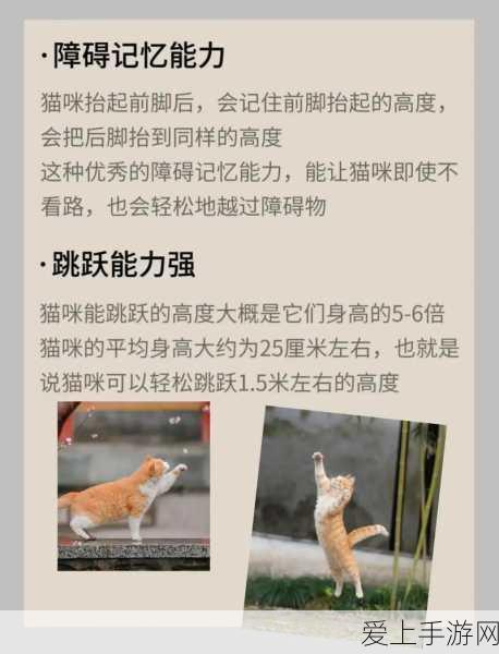 手游安全新纪元，贝加莱工业自动化赋能机器人竞技赛安全升级