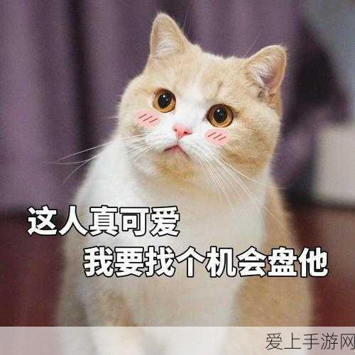 星露谷物语泪晶神秘所在，层数大揭秘