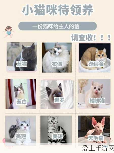 钓鱼高手养成记，解锁我们的星球海洋奇遇赛，赢取珍稀鱼种大奖