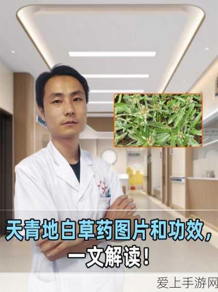 GLP减肥药新突破，诺和诺德研究显示对6-12岁儿童亦具显著减重效果