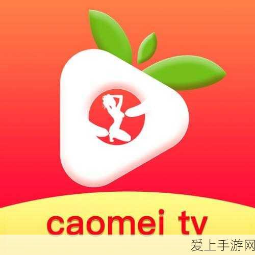 烟雨江湖深度攻略，揭秘偃月阵获取全攻略