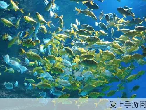 炼金术士荣耀之路，龙之谷手游转职深度剖析与实战指南