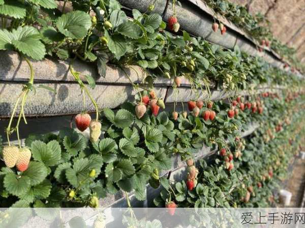 QQ 飞车手游，二仙桥大爷孟翔的惊艳飞车之旅全记录