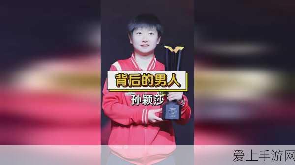 手游物流大揭秘，OMS、WMS与TMS的差异化运作与协同奥秘
