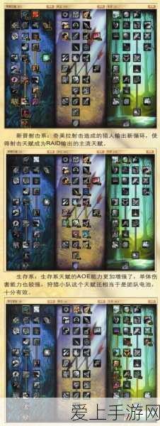 魔兽世界竞技场，兽王猎PK制胜宏策略揭秘