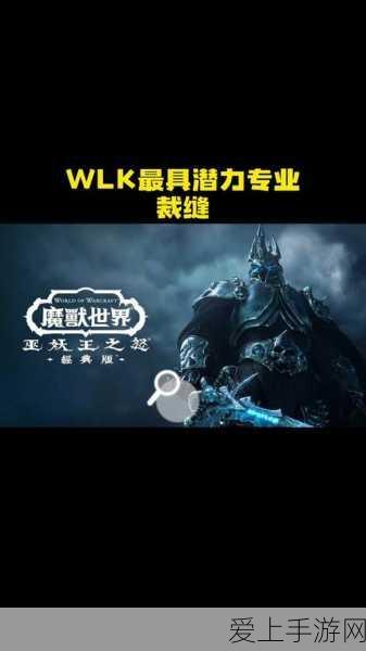 手游资讯，深度剖析黑神话悟空藏风兽面属性与实战策略