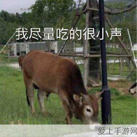 爆裂魔女新手福利揭秘，十连抽获取攻略全解析
