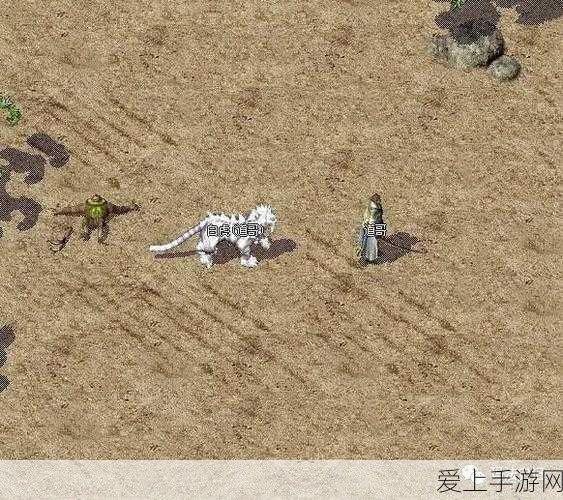 王者荣耀S21赛季终极倒计时，赛季结束时间全解析及赛季亮点回顾