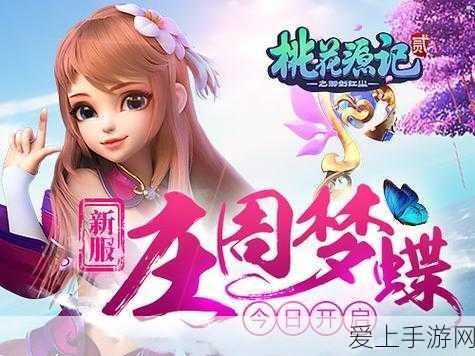DNF召唤师加点秘籍，深度剖析加点策略，实战技巧大公开