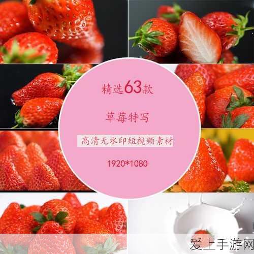 永劫无间手游，季莹莹超强配队秘籍 阵容搭配全解析