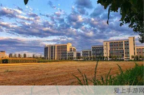 手游新领域，无人机反制技术革新，守护手游赛事空域安全