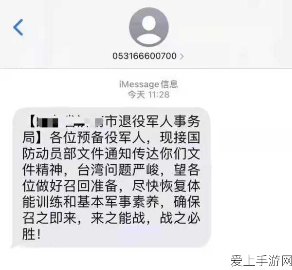 战双帕弥什深度解析，揭秘战双S角色抽取顺序与策略