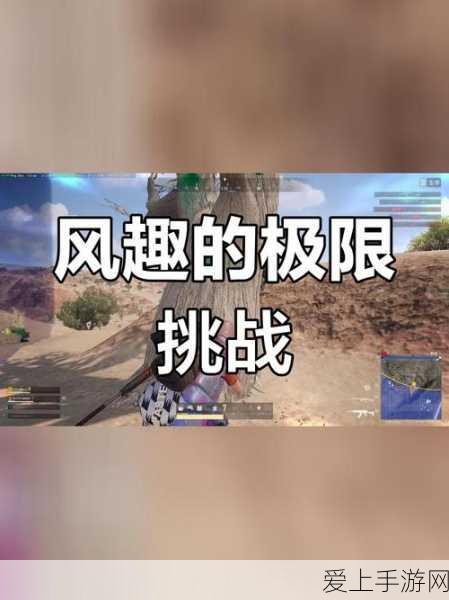 元梦之星躲猫猫秘籍，玩法全解析与致胜诀窍