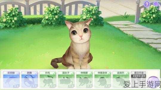 蛋仔派对S9赛季段位变动揭秘，掉段规则全解析