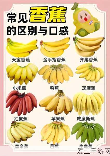 梦幻模拟战1&2重制版震撼归来，发售日期与独家细节大揭秘