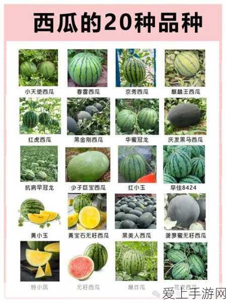 原神沙海迷踪深度解析，拟构基石机关全攻略，解锁隐藏宝藏！