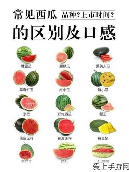 原神沙海迷踪深度解析，拟构基石机关全攻略，解锁隐藏宝藏！