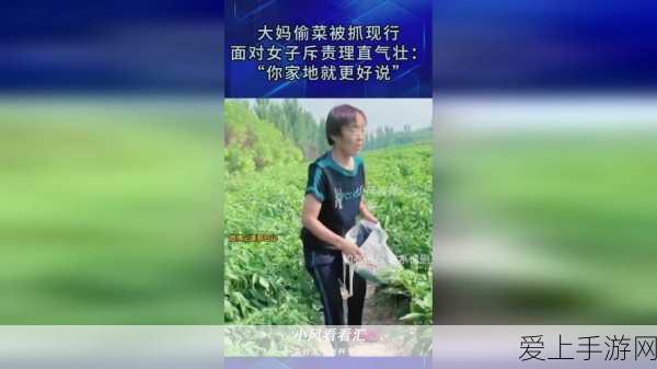 cf枪战僵尸无限钻石版