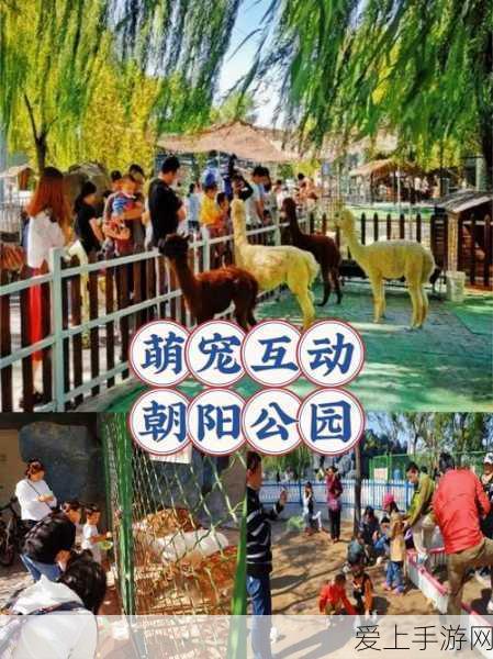 手游界绿色革命！节能服务进企业，绿色数据中心对接推广活动盛大启幕