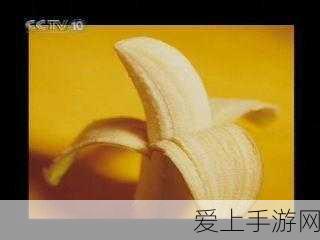 FTTR助力手游体验飞跃，中国移动FTTR客户突破500万大关