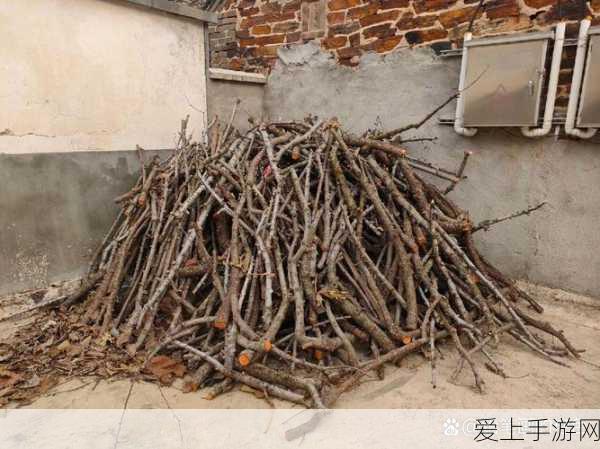 诛仙手游阵灵升阶全攻略，解锁战力飙升，称霸仙界新途径