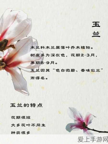光遇魔法季先祖大揭秘，五大神秘先祖位置全攻略及寻宝技巧