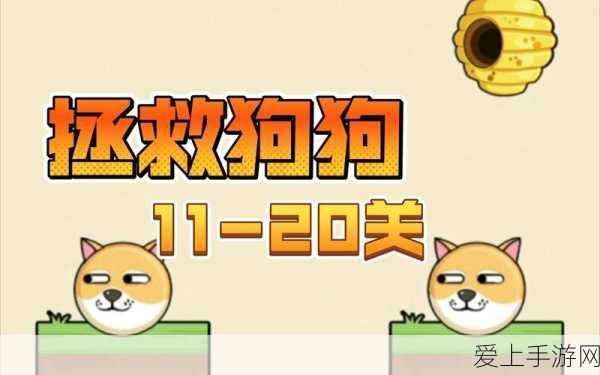 金铲铲之战 S11 无敌飞天妮蔻阵容秘籍，装备搭配全解析
