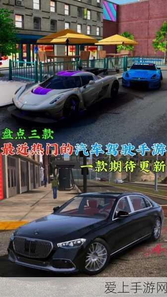 圣剑传说3重制版，全面揭秘仙人掌位置与攻略秘籍