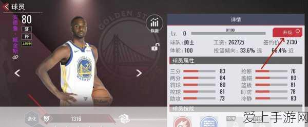深度解析，梦幻西游合宠的神奇作用与策略指南