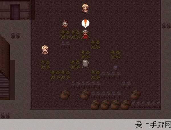 火影忍者手游新版本揭秘，金鸣彩蛋深度剖析与实战应用