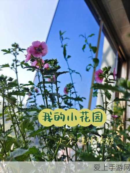 王者荣耀，杨戬新皮肤神犬降临，五杀盛宴彰显强者风范