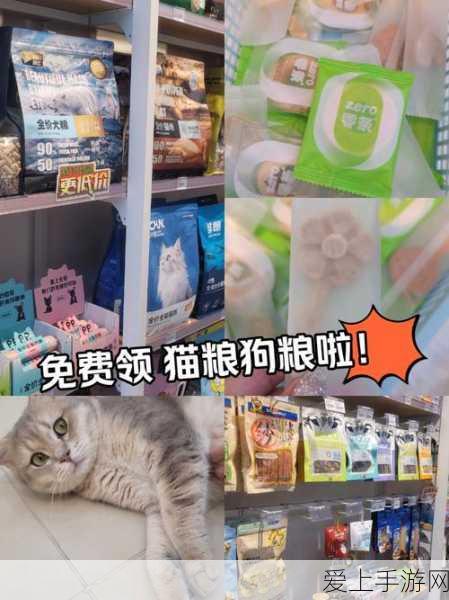咸鱼之王6500关终极挑战，揭秘大龙虾速通绝技，轻松征服巨兽！