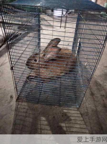 王者荣耀 S34 赛季结束时间大揭秘及冲分攻略