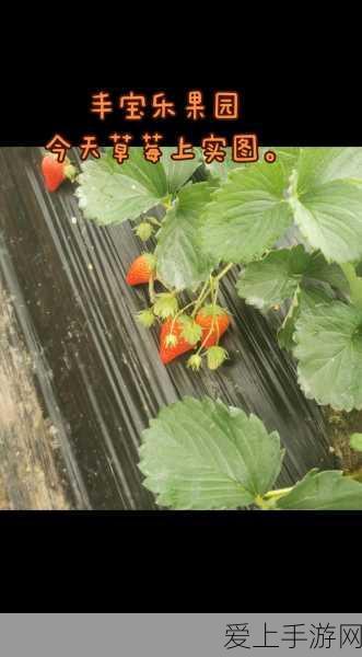 泰拉瑞亚探险秘籍，锯木机全功能解析与合成表大揭秘