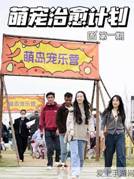 手游界新视角，特斯拉陶琳谈自动驾驶技术，摄像头与激光雷达融合成本引热议