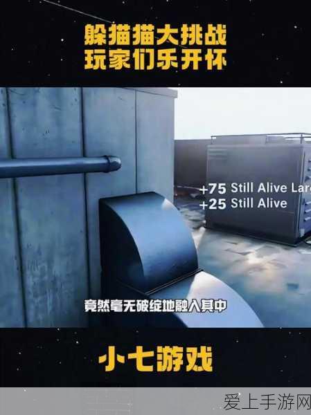 三国志·战略版，吕布张辽顶尖战将，巅峰对决细节揭秘