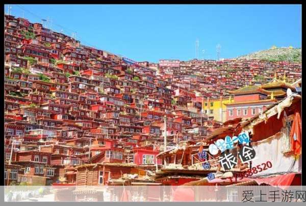 2024 免费大型升级游戏巅峰对决，前五强震撼揭晓