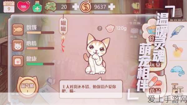 我的勇者暗金探测器获取攻略，解锁稀有宝藏的钥匙